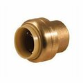 John L Schultz Cap Pipe 1/2in Brass Push Fit 9492-303